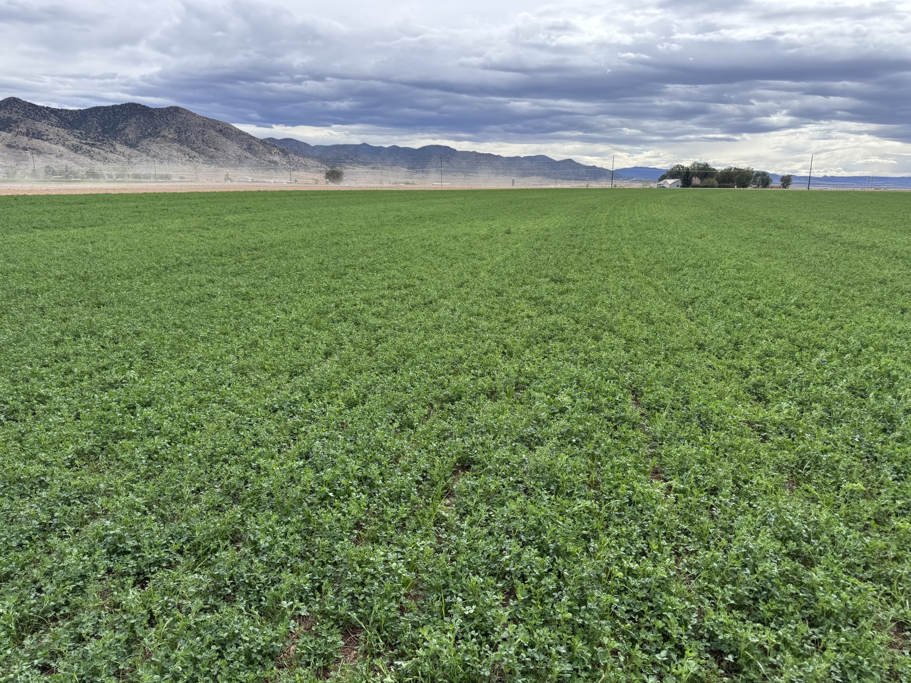 Green field stretching toward mountains beneath a cloudy sky