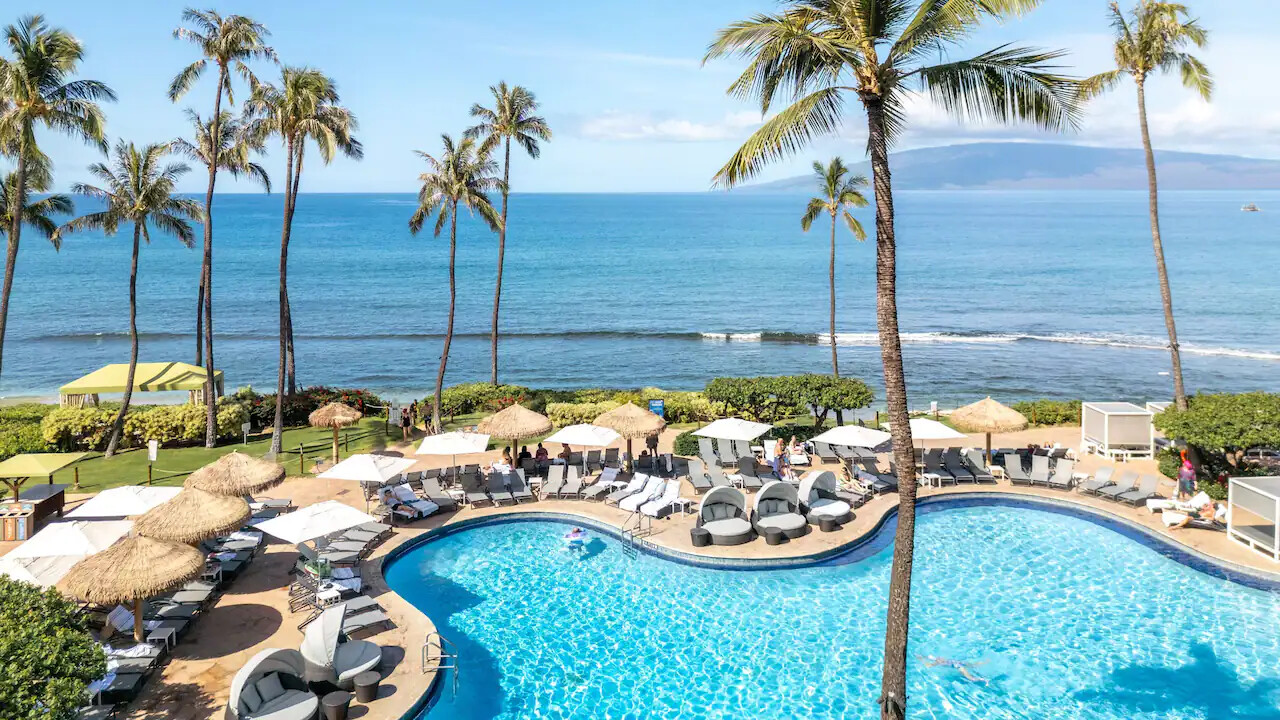 Oceanfront pool with palms and lounge chairs overlooking the blue water in Maui