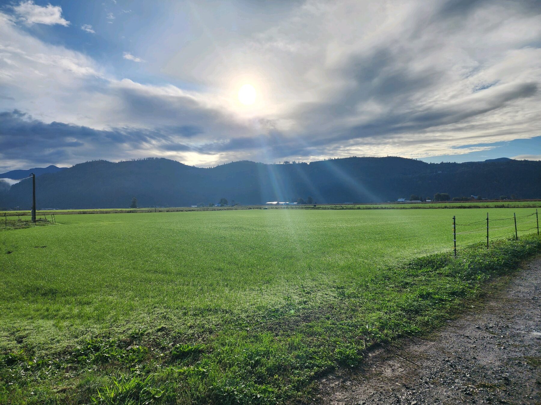 Sunrise over an irrigated southern Idaho field